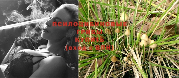 соль курить ск Алексеевка
