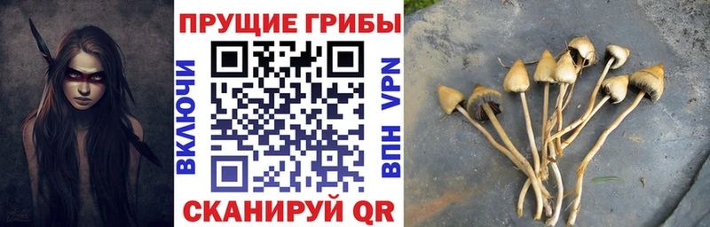 Галлюциногенные грибы ЛСД  Пугачёв 