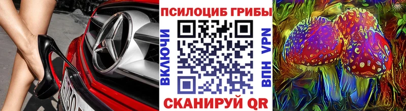 Псилоцибиновые грибы прущие грибы Пугачёв