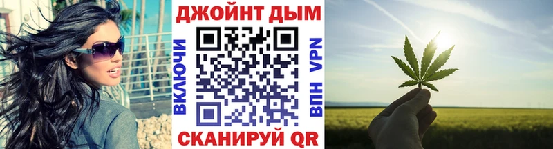 где продают наркотики  Пугачёв  Канабис сатива 
